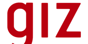 GIZ